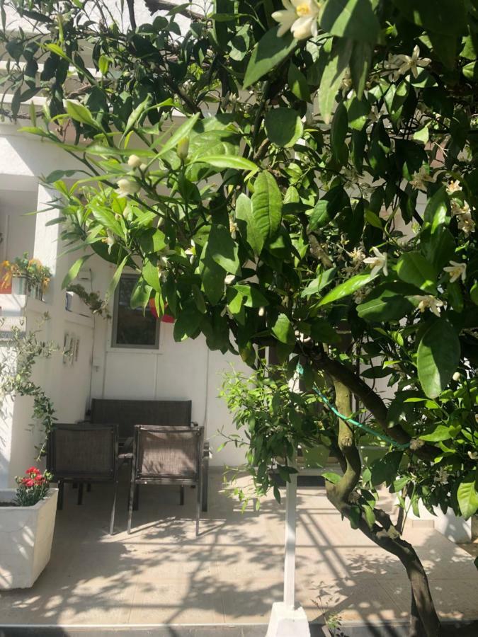 Apartments Mia Patria Ulcinj Eksteriør billede